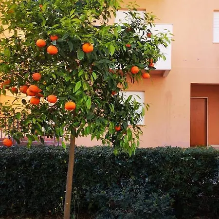 Casa Dada Mazara del Vallo